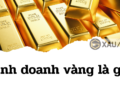 Kinh doanh vàng là gì? Có bao nhiêu cách kinh doanh vàng ?